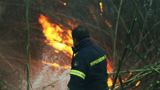 Υπό μερικό έλεγχο η μεγάλη πυρκαγιά στους Προμάχους Πέλλας