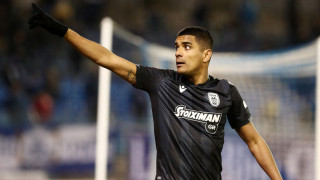 Σκυλιά που (δεν) δαγκώνουν