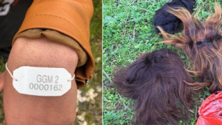 Τούρκοι βάζουν γυναικείες περούκες και ταμπελάκια σε μετανάστες στον Έβρο!