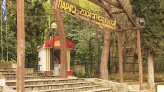 Ολοκληρώνεται το «λίφτινγκ» στον ζωολογικό κήπο της Θεσσαλονίκης