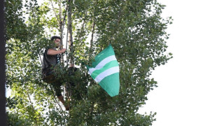 ΑΠΙΣΤΕΥΤΟ: Οπαδός ανέβηκε σε δέντρο για να δει την ομάδα του!