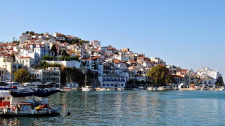 Οι κάτοικοι στην Σκόπελο βγάζουν ακτινογραφίες στον... κτηνίατρο!