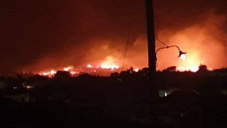 Σε εξέλιξη φωτιά στην Ζάκυνθο, 40 πυροσβέστες στο σημείο