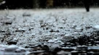 Πτώση δένδρου στην περιοχή των Ευζώνων
