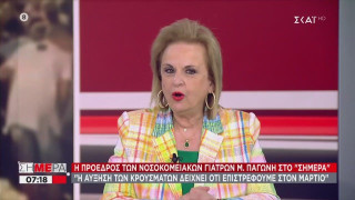 Παγώνη: «Φοβόμαστε μήπως γίνουμε σαν τις άλλες βαλκανικές χώρες»