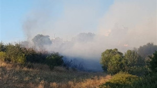 Ωραιόκαστρο: Φωτιά κοντά σε κατοικίες