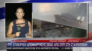 Θεσσαλονίκη: Οχιά σε σπίτι στη Σταυρούπολη!