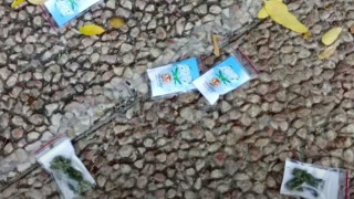 «Έβρεξε»... χασίς στο Τελ Αβίβ