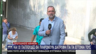 Απόφαση-σταθμός: Διατροφή και οι παππούδες για τα εγγόνια τους