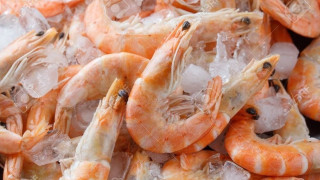 Κίνα: Κορωνοϊός σε συσκευασία κατεψυγμένων γαρίδων από Σ. Αραβία!