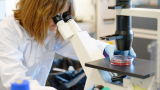 Η απλή λογική, το επιτελικό κράτος και ο επιστήμονας που ακυρώνεται