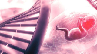 Εμβόλια και ιστοί εμβρύων: Τι πραγματικά ισχύει