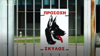 Σοκ: Νεκρός 56χρονος φύλακας από επίθεση σκυλιών