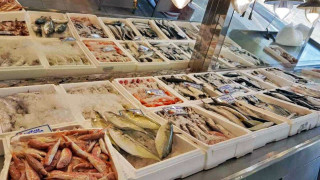 Γιατί τα κατεψυγμένα ψάρια μπορεί να είναι καλύτερα από τα φρέσκα