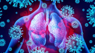 Τι είναι το exo cd24, το φάρμακο που δημιουργήθηκε στο Ισραήλ για τη θεραπεία του covid 19;