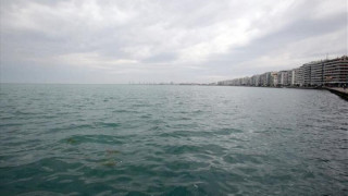Δελφίνια εμφανίστηκαν και πάλι στα νερά του Θερμαϊκού! (VIDEO)
