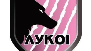 Συμμετοχή των Λύκων στον καθαρισμό του δασυλλίου της Πολίχνης