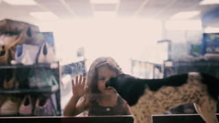 Ένα pet shop αντικατέστησε, μυστικά, τα ζώα προς πώληση με αδέσποτα