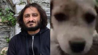 Ο Χαραλαμπόπουλος μπήκε σε κάδο κι έσωσε ένα σκυλάκι!