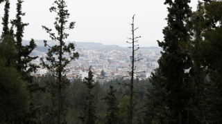 Σίμος Δανιηλίδης: Μπαρουταποθήκη που κινδυνεύει να ανατιναχθεί το Σέιχ Σου