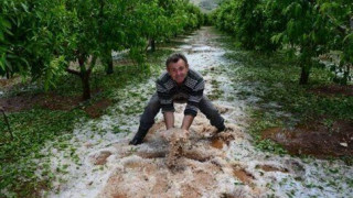 Δυτική Μακεδονία: Ζημιές σε καλλιέργειες από χαλαζόπτωση 