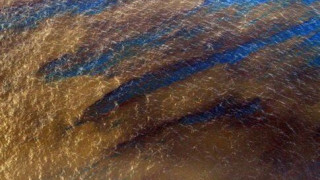 Διαρροή πετρελαίου έξω από τις ΗΠΑ «θα συνεχιστεί για 100 χρόνια»!