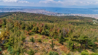Σέιχ Σου: Οι αντιδράσεις Καϊτεζίδη-Δανιηλίδη έφεραν το Χαρδαλιά στη Θεσσαλονίκη