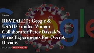 Google: Χρηματοδοτούσε έρευνες για ιούς και πανδημίες το εργαστήριο της Γιουχάν επί 10 χρόνια!