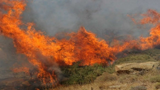 Φωτιά σε Διαβατά και Βαθύλακκο Θεσσαλονίκης