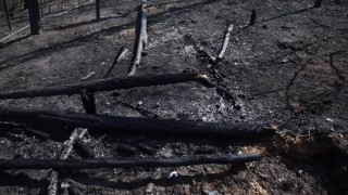 Η επόμενη ημέρα μετά τη μεγάλη φωτιά στο Σέιχ Σου