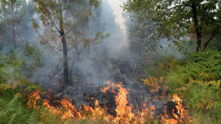 Φωτιά σε χορτολιβαδική έκταση στο Πλαγιάρι της Θεσσαλονίκης