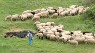  Νέο πρόστιμο - μαμούθ από την Ε.Ε.