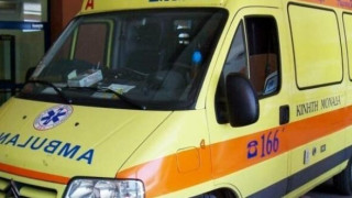  Σκύλος επιτέθηκε σε κοριτσάκι στην Κατερίνη