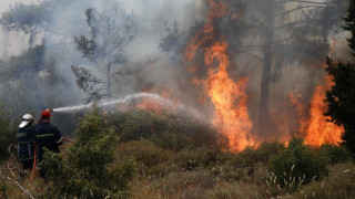 Φωτιά στο Κρυονέρι: Ο 43χρονος εμπρηστής παρίστανε τον εθελοντή πυροσβέστη