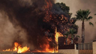 Αττική: Ρομά κάνουν πλιάτσικο σε πυρόπληκτες περιοχές (vid)