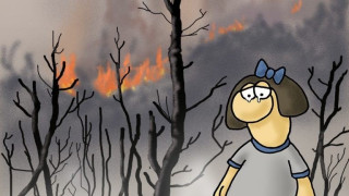 Γροθιά στο στομάχι: Το σκίτσο του Αρκά για τις πυρκαγιές
