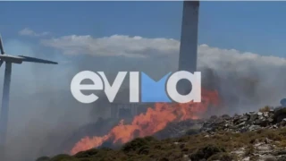 Φωτιά στα Μεσοχώρια Ευβοίας - Εκκενώνονται χωριά