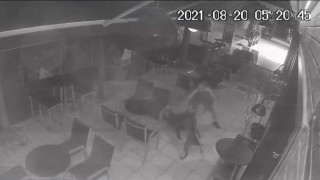 Θεσσαλονίκη: Ελεύθερος υπό όρους ο 25χρονος που σκότωσε σκύλο - Τι υποστήριξε