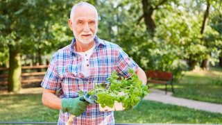 Υγεία: Το θαυματουργό φυτό που θωρακίζει τη γονιμότητα και το μυαλό, ρίχνει την πίεση και νικά την κατάθλιψη