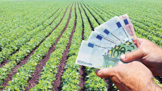ΟΠΕΚΕΠΕ: Πότε πληρώνονται αγρότες-κτηνοτρόφοι ενιαία, εξισωτική και βιολογικά