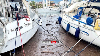 «Μαύρισε» η θάλασσα από κορμούς δέντρων και τόνους υλικών