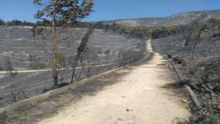 Έγκλημα εκ προμελέτης οι πυργαγιές...(;)