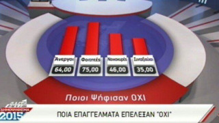 Πώς ψήφισαν οι διάφοροι επαγγελματίες, φοιτητές, νοικοκυρές και συνταξιούχοι