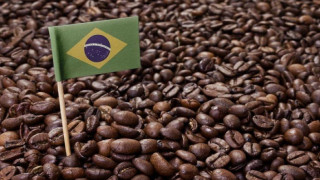 Δύσκολα τα πράγματα για τον καφέ - Μεγάλες ελλείψεις στην παγκόσμια αγορά και το 2022