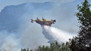 Σε εξέλιξη δύο δασικές πυρκαγιές στην Αργολίδα, ζημιές σε αυλές σπιτιών