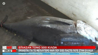 Απίστευτο: Έπιασαν τόνο 390 κιλών και μήκους 3 μέτρων στο Ιόνιο Πέλαγος!