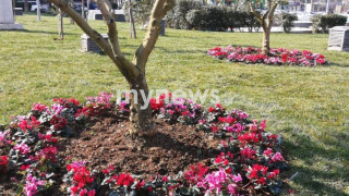 Πάρκο Αθλητικής Φιλίας: «Εκαναν φτερά» οι ταμπέλες με τα ονόματα των Αλκη, Τόσκο και Νάσου!