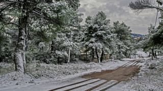 Σάκης Αρναούτογλου: «Έρχονται χιόνια στα χιονοδρομικά και στα βουνά»