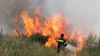 Πυρκαγιά ξέσπασε κοντά στον αρχαιολογικό χώρο των Αβδήρων Ξάνθης