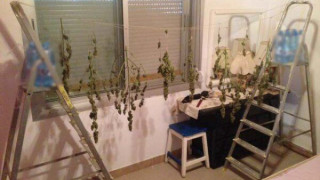 Σπίτι με... χασισοφυτεία στη Θεσσαλονίκη